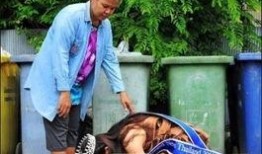 香港吃瓜女生跪地免费,揭秘背后惊人真相