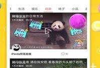 麻花互相爆料视频下载,幕后花絮大揭秘！