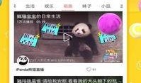 麻花互相爆料视频下载,幕后花絮大揭秘！