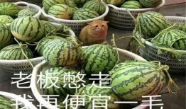 威海吃瓜网红有哪些人啊,威海网红吃瓜达人盘点