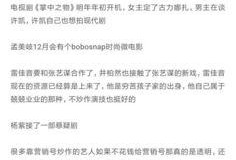 爆料娱乐圈文案,揭秘明星背后的故事与真相