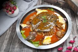 麻辣甲鱼爆料视频教程大全,一网打尽美味烹饪秘诀