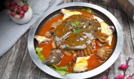 麻辣甲鱼爆料视频教程大全,一网打尽美味烹饪秘诀