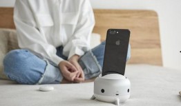 仙洋七兄弟爆料了吗视频,背后真相曝光