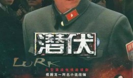 连续剧潜伏在线观看,谍影重重，线上揭秘