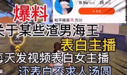 汕头渣男爆料视频最新版,揭秘惊人真相，引发社会热议