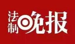 红心新闻爆料,揭秘事件背后惊人真相