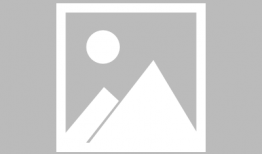 娱乐吃瓜君绵羊,揭秘娱乐圈幕后故事