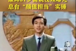 刘团长前员工爆料视频,揭秘内幕，还原真实工作环境