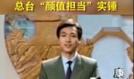 刘团长前员工爆料视频,揭秘内幕，还原真实工作环境