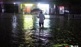 爆料广州暴雨视频最新,城市抗洪纪实