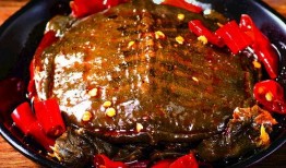 麻辣甲鱼爆料视频教程大全,一网打尽美味烹饪秘诀