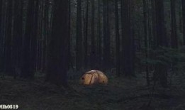 末日之光电影在线观看,末世求生之旅在线观影指南