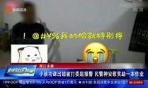 王先生爆料石家庄新闻视频,石家庄最新新闻视频揭秘