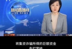 新闻爆料王冕视频播放,揭秘背后故事与影响力