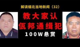 老板爆料佤邦视频大全下载,老板爆料视频大全下载全解析