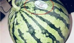 山东青岛网红吃瓜,揭秘幕后真相与网络热议