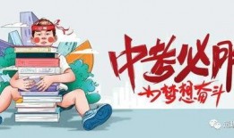 中国打假拳爆料最新消息,最新爆料揭露惊人内幕