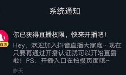 新闻爆料怎么开通权限,掌握一手资讯的秘诀