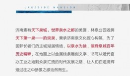 泉城爆料最新消息