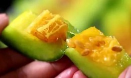 山东青岛网红吃瓜,揭秘幕后真相与网络热议