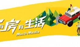 台州最新爆料新闻报道视频,视频揭露惊人内幕，真相令人震惊！