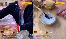 爆料辛巴燕窝主人视频,揭秘幕后主人视频曝光