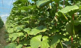 2022 娱乐吃瓜,年度吃瓜大事件盘点