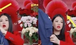 三亚主持人房东爆料视频,揭秘三亚民宿行业内幕