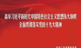 新会新闻在哪爆料,让民意直通官方，共建和谐社区