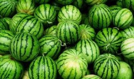 长春网红吃瓜事件真相,真相背后的网络风波