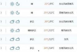 新乡今日爆料最新消息,详情揭晓！”