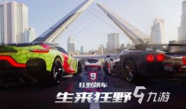 新奇爆料赛车视频大全播放,揭秘新奇爆料赛车视频大全精彩瞬间