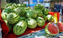 长春网红吃瓜事件真相,真相背后的网络风波