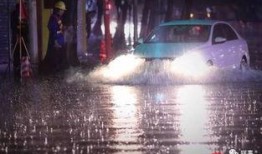 爆料广州暴雨视频最新,城市抗洪纪实