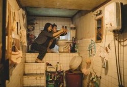 寄生虫美国爆料视频,视频爆料揭示惊人内幕