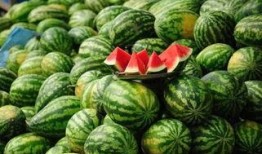 长春网红吃瓜事件真相,真相背后的网络风波