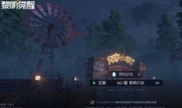 黎明觉醒飞机爆料视频,揭秘飞机爆料视频背后的震撼瞬间