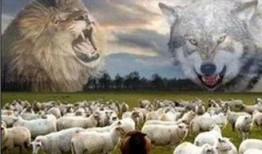 羊了个羊游戏视频爆料,揭秘视频爆料背后的热门现象