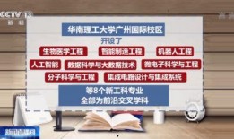 广州探店爆料视频大全集,网红美食大盘点，带你领略羊城风味