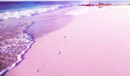 粉色沙滩爆料视频在线观看,揭秘神秘海岛自然奇景