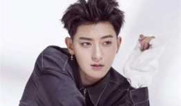 娱乐爆料黄子韬,揭秘明星背后的故事