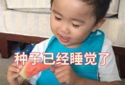 话唠吃瓜小说免费阅读,揭秘娱乐圈幕后故事，免费畅读独家秘闻