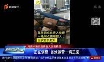王先生爆料石家庄新闻视频,石家庄最新新闻视频揭秘