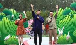 迪哥最新爆料新闻视频网,揭秘网络视频背后的真相